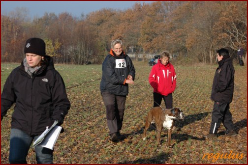 Nordseecup 2011